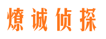 西塞山市调查公司